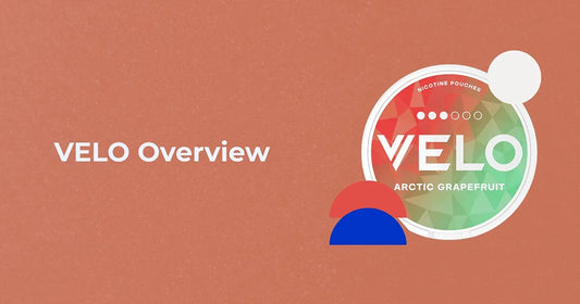 VELO Nicotine Pouches – Brand Overview & Product Guide